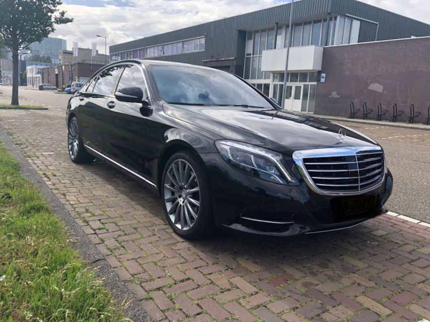 From Amsterdam: The Hague Private Trip and Mauritshuis Entry - Door-to-door ride from Amsterdam in a Mercedes Benz