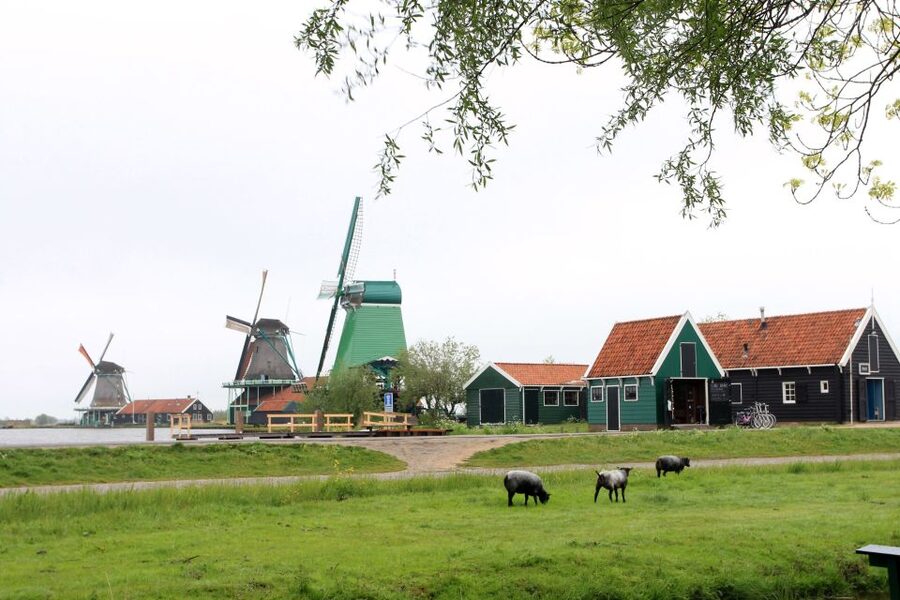 From Amsterdam: Windmills of Zaanse Schans Tour - Optional Windmill Interior: Worth It if You Like Seeing Mechanisms Up Close