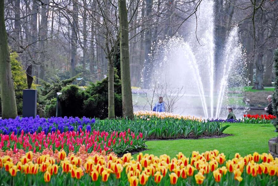 From Brussels: Keukenhof & Windmills Full-Day Guided Tour - The Kinderdijk windmill area: canals, free time, and a boat cruise option