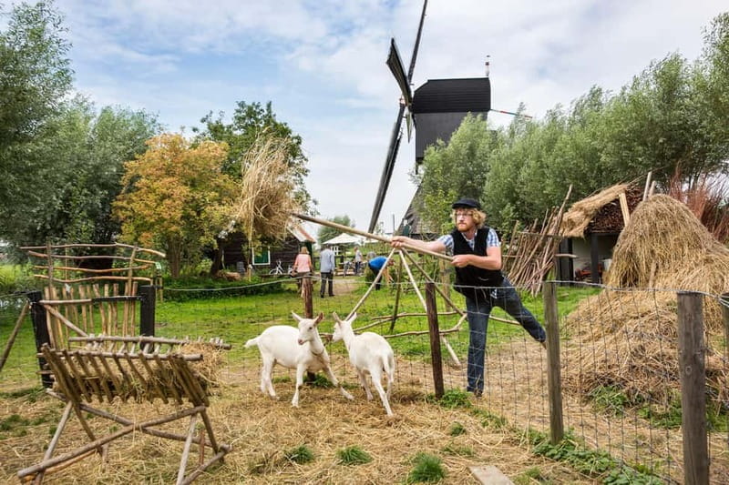 From Brussels: Keukenhof & Windmills Full-Day Guided Tour - Making the Keukenhof time work for you (no rushing needed)