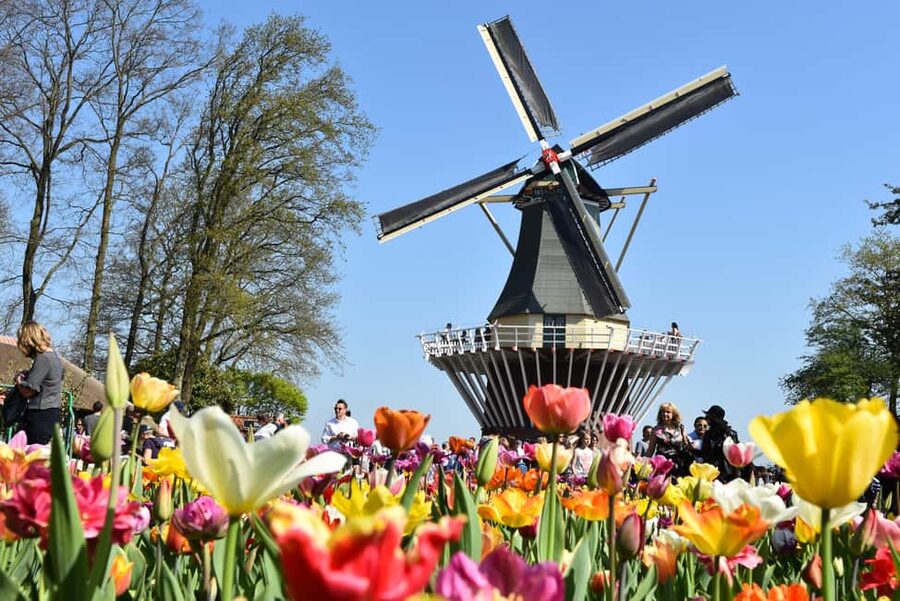 From Brussels: Keukenhof & Windmills Full-Day Guided Tour - The Belgium Beer World Experience add-on: a smart extra, if you like beer
