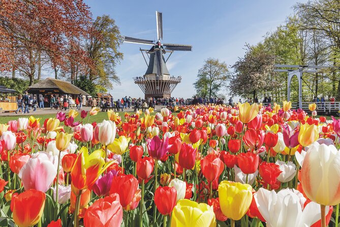 Full-Day Skip the Line Keukenhof and Canal Cruise from Amsterdam - Key things I think you’ll care about