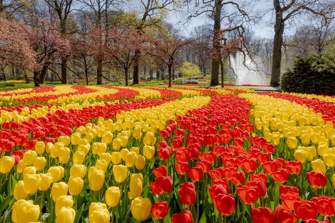Full-Day Skip the Line Keukenhof and Canal Cruise from Amsterdam - Crowds, photos, and the “too packed” reality check