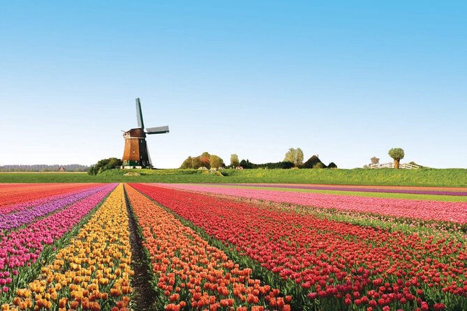 Full-Day Skip the Line Keukenhof and Canal Cruise from Amsterdam - Getting to Keukenhof: bus comfort and timing choices