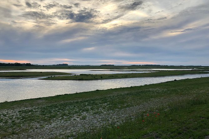 Full day tour to Texel - Friesian Islands - from Amsterdam - Seal safari add-on: what it is and how to time it (€35)