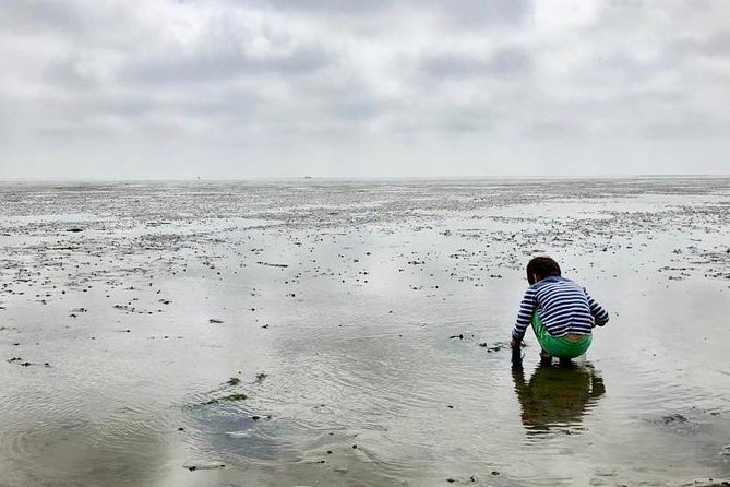 Full day tour to Texel - Friesian Islands - from Amsterdam - Weather reality: how to dress for Texel wind and dunes