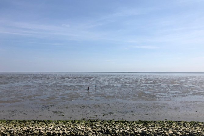 Full day tour to Texel - Friesian Islands - from Amsterdam - Food, drinks, and meal timing you should plan for
