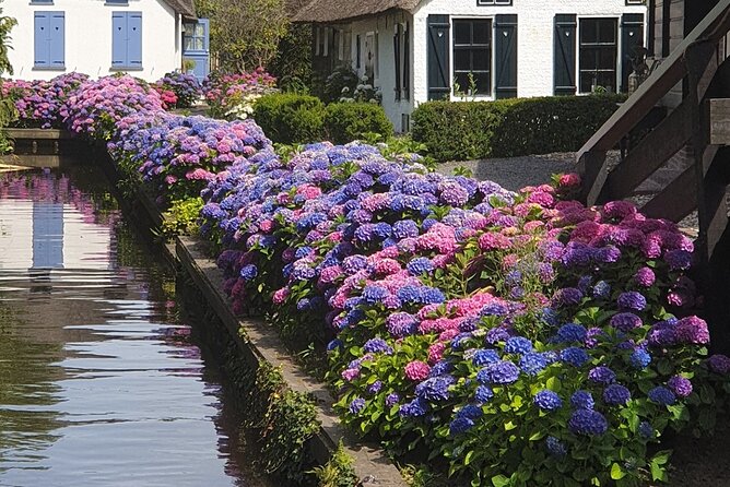 Giethoorn Day Tour from Amsterdam with Small Boat Ride - The 1-Hour Small Electric Boat Ride: The Part You’ll Remember