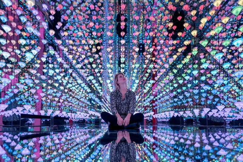Go City Amsterdam Pass: Attractions Pass with Rijksmuseum - Day trips from Amsterdam: where the pass can multiply your value