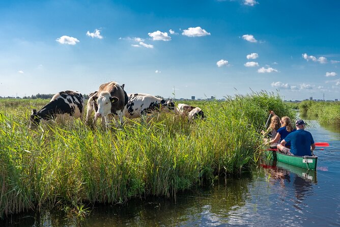Guided Canoe Adventure with Picnic Lunch in Waterland from Amsterdam - Key things that make this Waterland canoe day worth your time