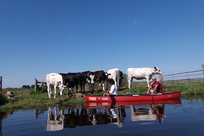Guided Canoe Adventure with Picnic Lunch in Waterland from Amsterdam - Optional swim: fun if the weather cooperates