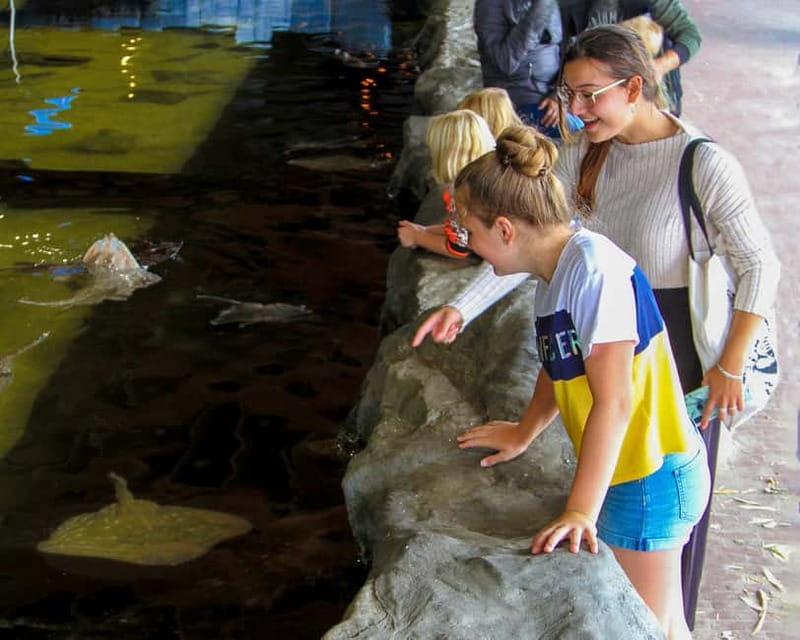 Harderwijk: Dolfinarium Entry Ticket - Tips that make a big difference on the ground