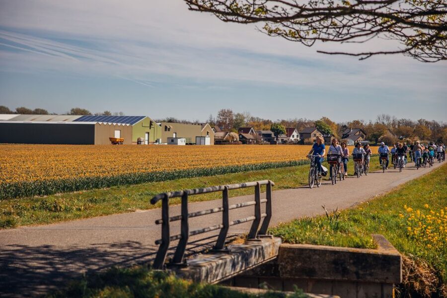 Keukenhof: Flower Fields Small-Group Cultural Bike Tour - The 3-hour timing and what that means for your day plan