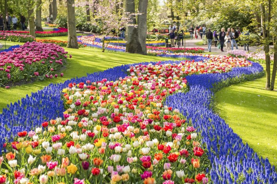 Keukenhof: Flower Fields Small-Group Cultural Bike Tour - Stroopwafel, rain ponchos, and the pacing that keeps it fun