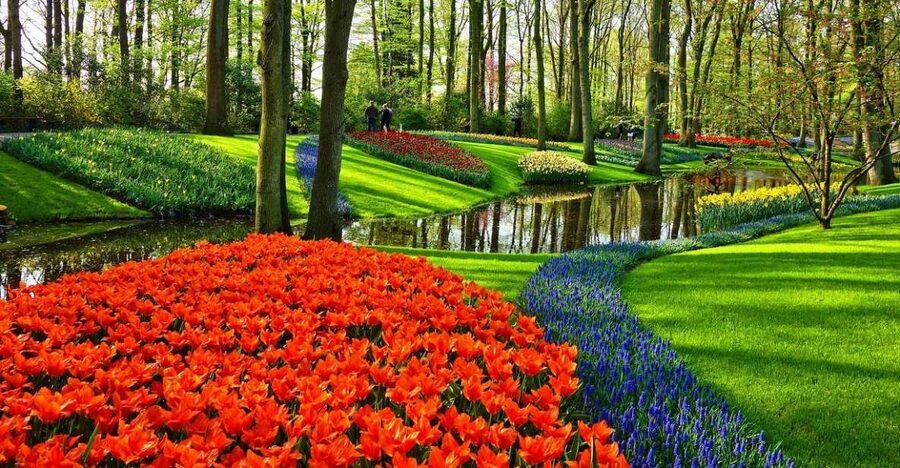 Keukenhof Gardens and Tulip Experience Tour from Amsterdam - The Tulip Experience museum: story first, then flowers