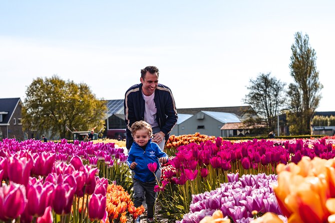 Keukenhof Gardens and Tulips Private Tour from Amsterdam - Why this private Keukenhof day trip from Amsterdam is such a smart use of time