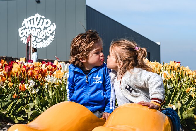 Keukenhof Gardens and Tulips Private Tour from Amsterdam - The driver/host role: helpful, local, and tuned to your day