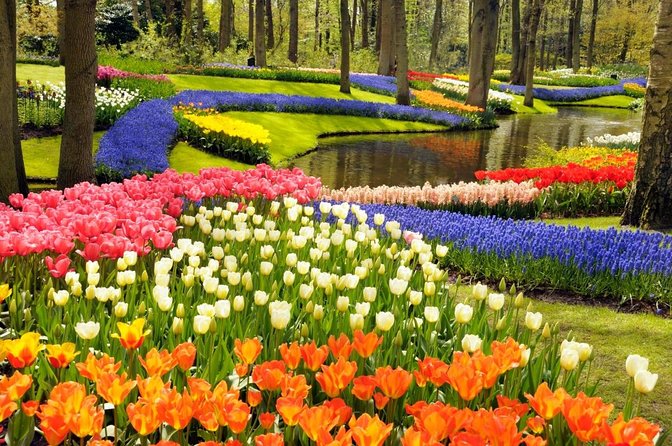 Keukenhof Gardens & Tulip Experience Tour from Amsterdam - Why this tulip day works so well from Amsterdam