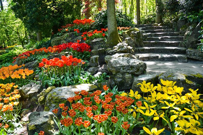 Keukenhof Gardens & Tulip Experience Tour from Amsterdam - Practical details that can make or break the day