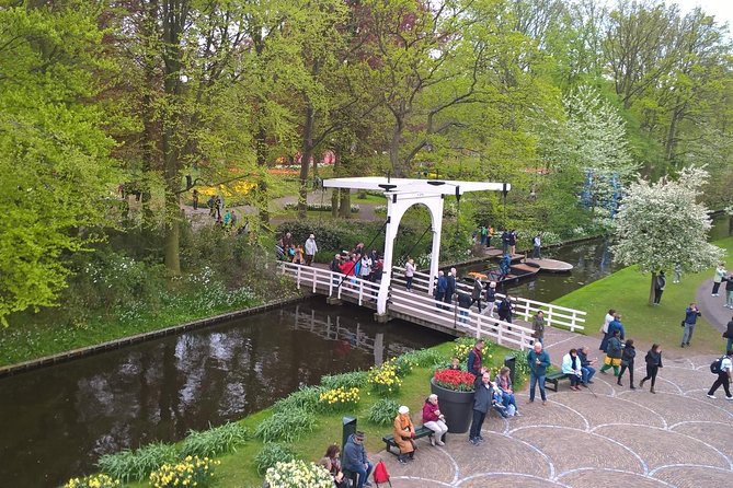 Keukenhof's Tulips and Windmills Small-Group Tour from Amsterdam - Key highlights worth planning around