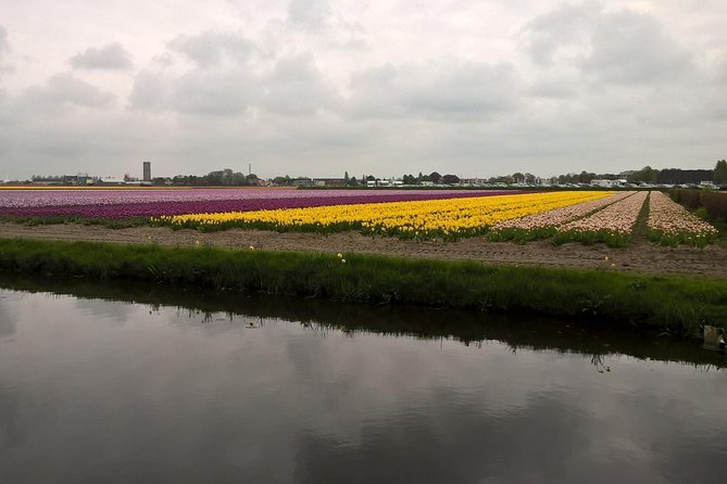 Keukenhof's Tulips and Windmills Small-Group Tour from Amsterdam - Catharina Hoeve cheese farm: Gouda plus tastings in 15 minutes
