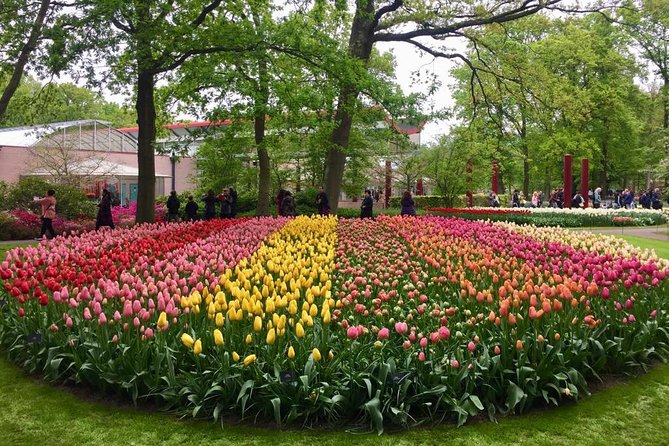 Keukenhof's Tulips and Windmills Small-Group Tour from Amsterdam - Molen De Kat windmill: climb time and why it’s worth the stairs