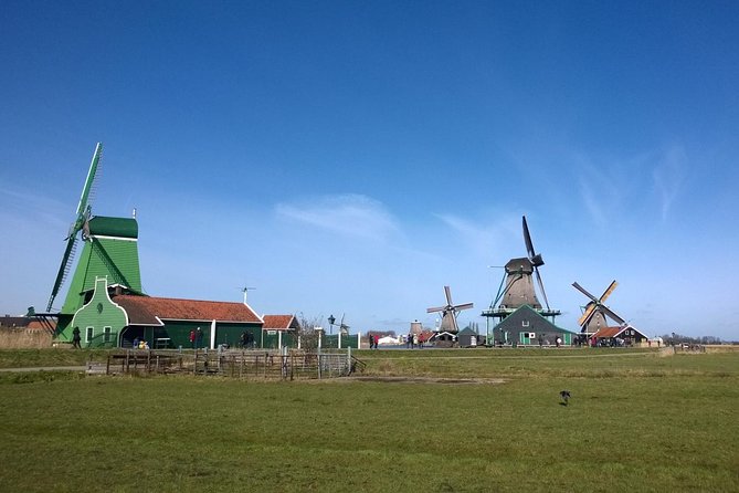 Keukenhof's Tulips and Windmills Small-Group Tour from Amsterdam - Keukenhof Gardens: making the most of your time (and avoiding the rush)