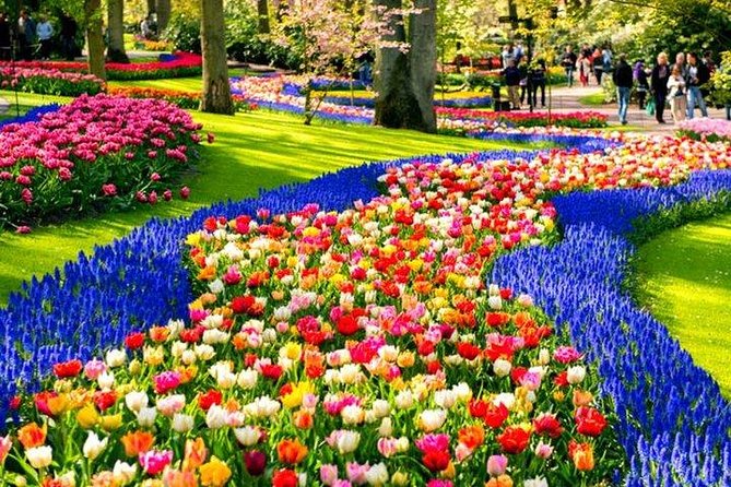 Keukenhof Skip-the-line Tickets: Countryside & Farm Private Tour - Private Mercedes Pickup and Skip-the-line Keukenhof Timing