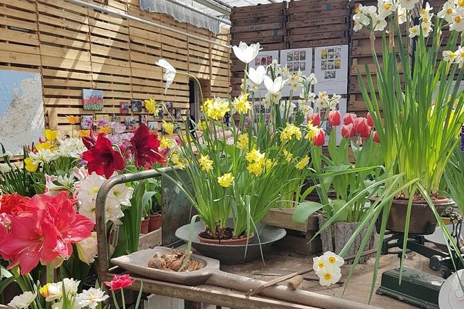 Keukenhof Skip-the-line Tickets: Countryside & Farm Private Tour - How Keukenhof’s 2-Hour Garden Visit Really Feels