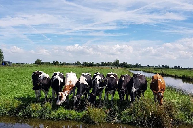 Keukenhof Skip-the-line Tickets: Countryside & Farm Private Tour - Jacobs Hoeve Cheese Farm Tasting: the Dutch Gold Bite