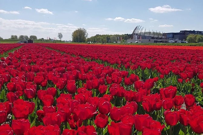 Keukenhof Skip-the-line Tickets: Countryside & Farm Private Tour - Volendam Waterfront and Edam Passing Moments