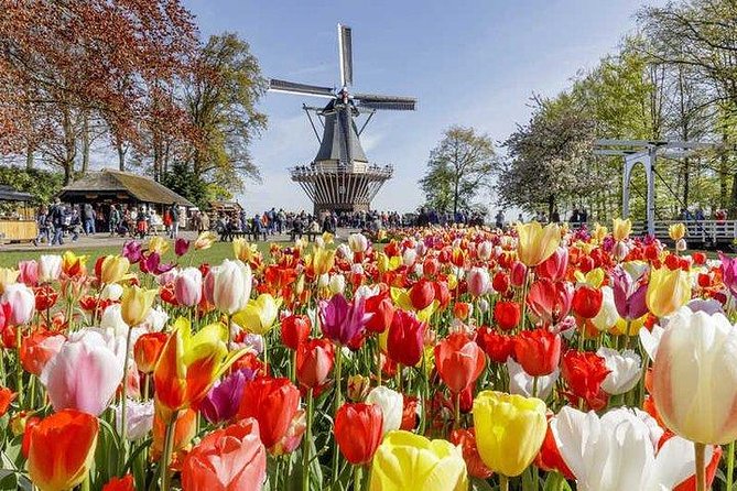 Keukenhof Skip-the-line Tickets: Countryside & Farm Private Tour - Who This Tour Fits Best (and Who Might Want Something Else)