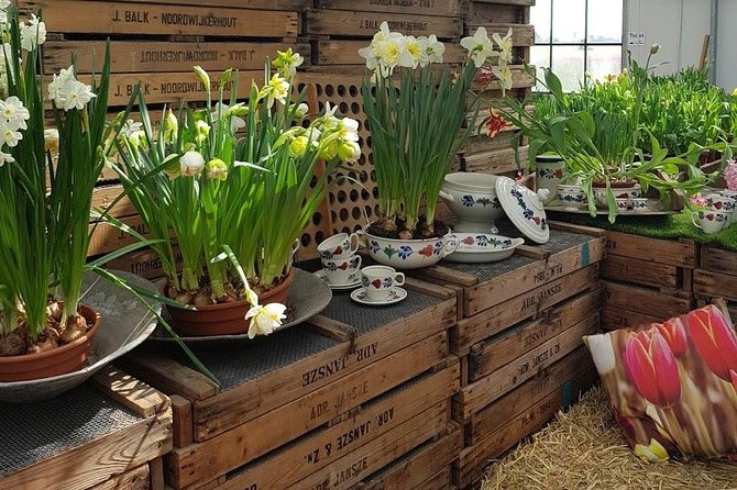 Keukenhof Skip-the-line Tickets: Countryside & Farm Private Tour - Lisse Bulb Farms and Flower Fields: the Tulip-Spotter Portion