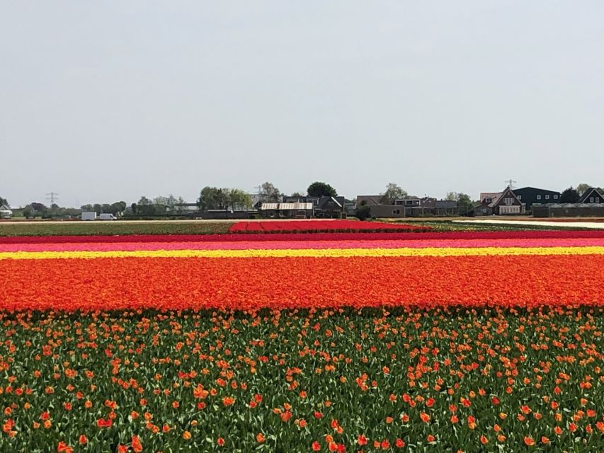 Keukenhof, Tulip Farm, Flower Fields & Windmills - Should You Book This Keukenhof, Windmills, Volendam, and Marken Day?