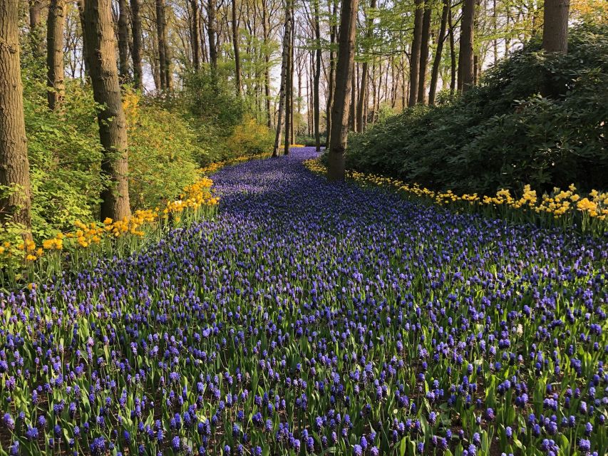 Keukenhof, Tulip Farm, Flower Fields & Windmills - Volendam and Marken: Colorful Houses and Historic Island Streets