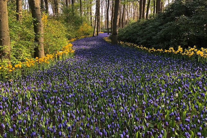Keukenhof, Tulip Farm, Flower Fields & Zaanse Schans Windmills - Why this Keukenhof and windmills day works from Amsterdam