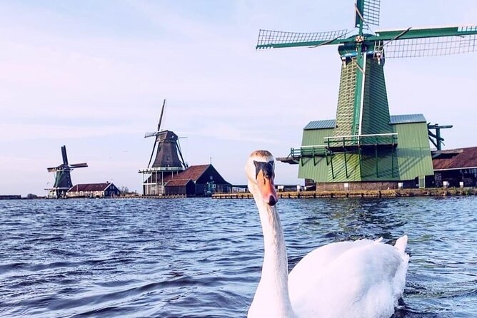 Keukenhof, Tulip Farm, Flower Fields & Zaanse Schans Windmills - Price and what you truly get for $349.13 per person