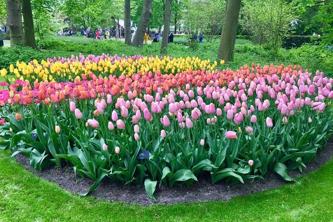 Keukenhof, Zaanse Schans Windmills Private Tour with Lunch - Price and What Your Money Covers