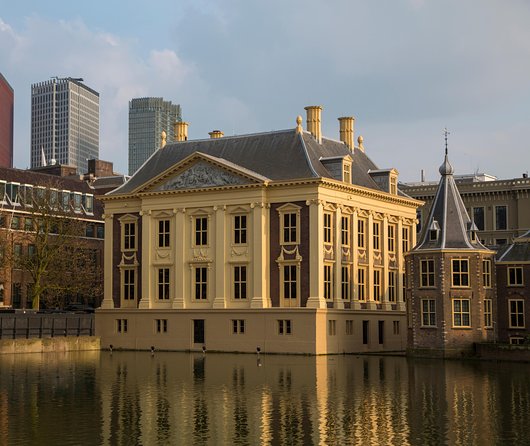 Kinderdijk, The Hague, Mauritshuis Private Tour from Amsterdam - How long is the day, really? (Planning your energy)