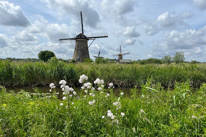 Kinderdijk Windmills, Delft City & Delft Blue Factory Visit - Price and value: what you’re actually paying for