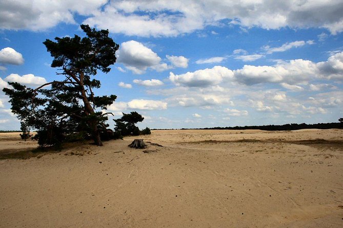 Kröller-Müller Museum and National Park Private Day Tour from Amsterdam - Key Points Worth Knowing Before You Go