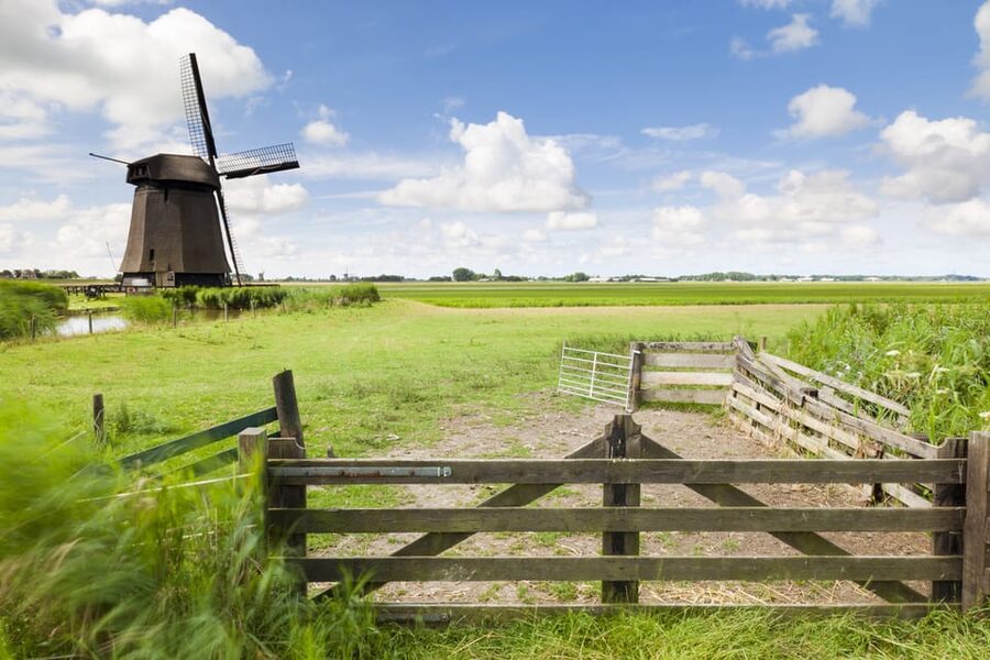 Lisse: Drive-it-Yourself Dutch Countryside GPS Audio Tour - Windmills, polders, and village scenery you can actually linger in