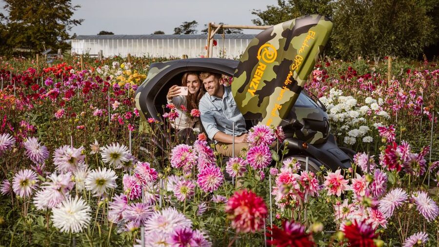 Lisse: Drive-it-Yourself Summer Flower GPS Audio Tour - Key points to know before you go