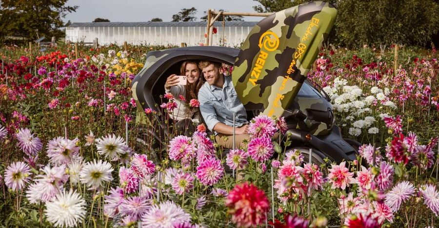 Lisse: Drive-it-Yourself Summer Flower GPS Audio Tour - Your 3-hour route: how the timing and 35 km plan really works