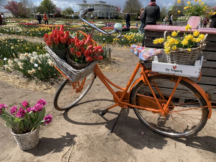 Lisse: Enjoy the Tulip Fields by Bike with a Local Guide! - Riding along Keukenhof’s bulb zone (7 million bulbs)