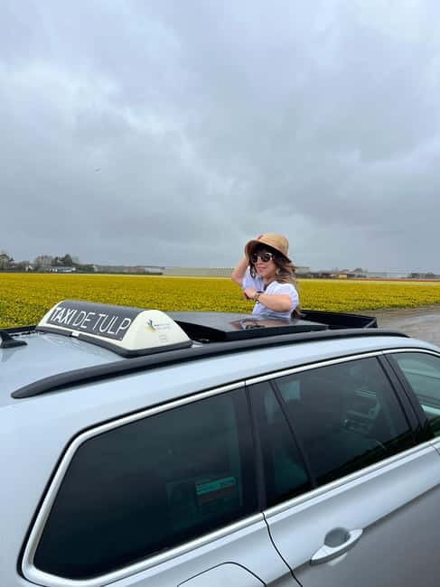 Lisse: Private Tulip Fields Tour with a Local Guide 1h Tour - Key things you’ll notice on this tour