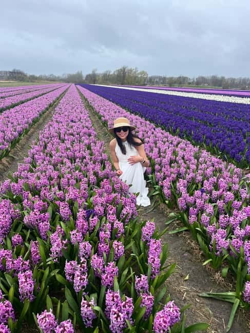 Lisse: Private Tulip Fields Tour with a Local Guide 1h Tour - How the private pickup really changes the day