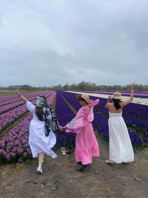 Lisse: Private Tulip Fields Tour with a Local Guide 1h Tour - Picking stops in Lisse: what you can expect on the ground