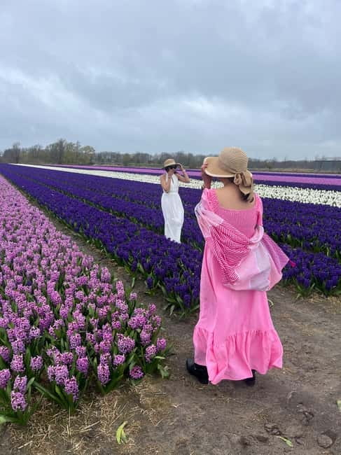 Lisse: Private Tulip Fields Tour with a Local Guide 1h Tour - The optional Dutch lunch extension (and how to use it)