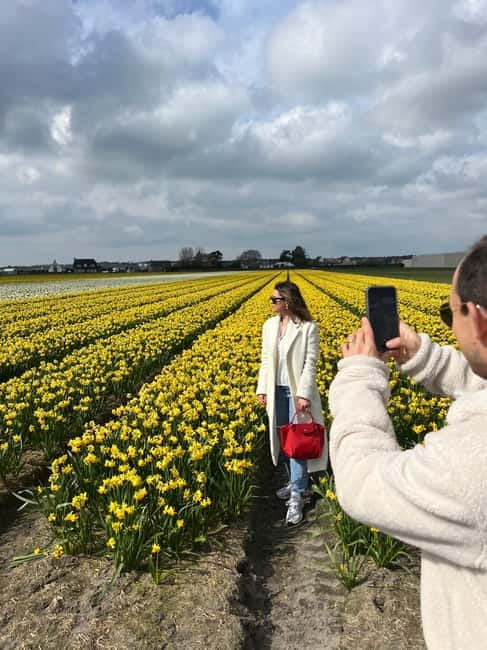 Lisse: Private Tulip Fields Tour with a Local Guide 1h Tour - Value check: why $188 per group can make sense